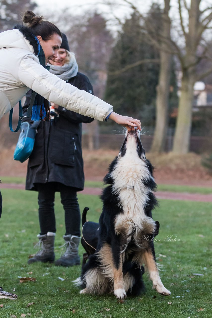 Bild 95 - Hundeshooting